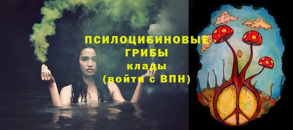 гидра Кулебаки
