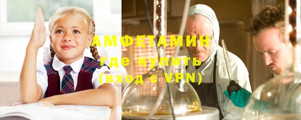 гидра Кулебаки