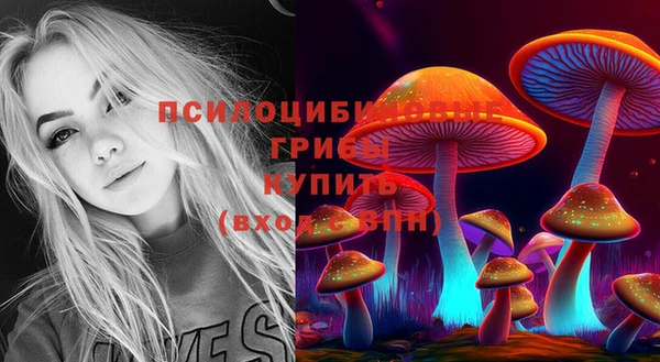 гидра Кулебаки