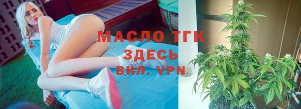 гидра Кулебаки