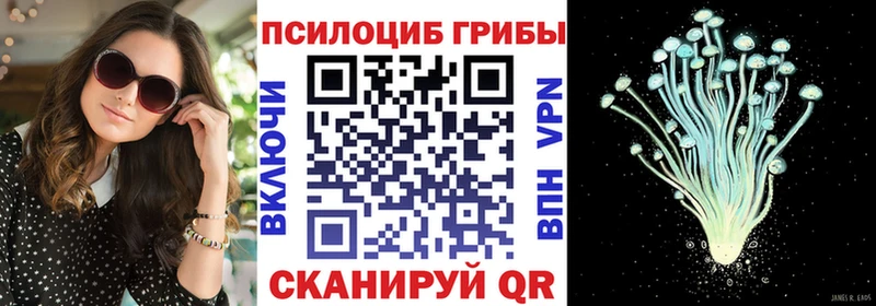 Псилоцибиновые грибы Cubensis  OMG как войти  Цивильск 